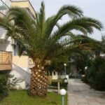 Galerija Thumbnail 1
