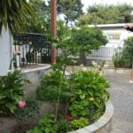 Galerija Thumbnail 25