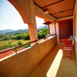 Galerija Thumbnail 19