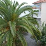 Galerija Thumbnail 11