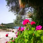 Galerija Thumbnail 22