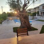 Galerija Thumbnail 36