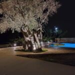 Galerija Thumbnail 27