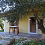 Galerija Thumbnail 7